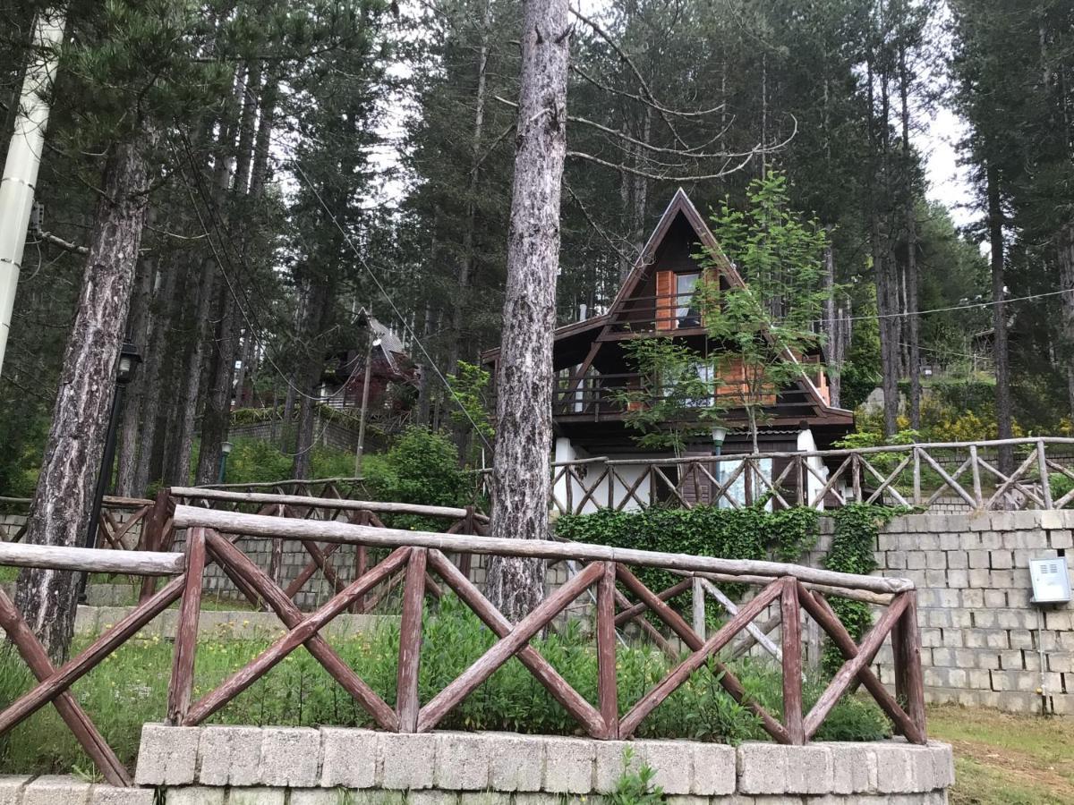 Chalet Natura Sport&Relax Cavaliere  Exteriér fotografie