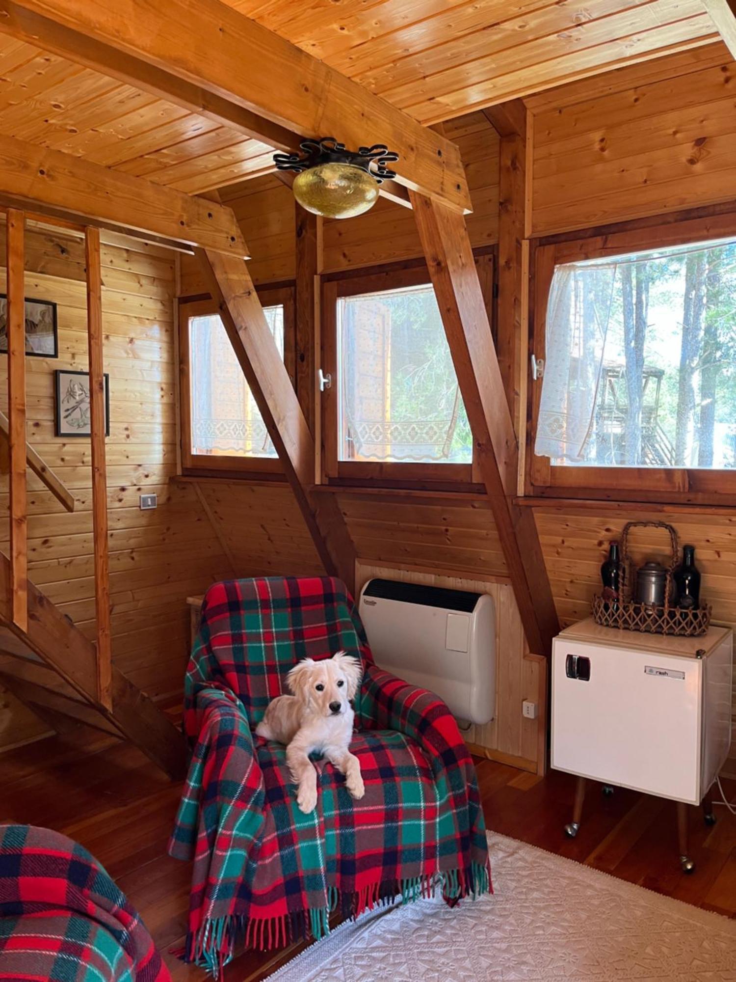 Chalet Natura Sport&Relax Cavaliere  Exteriér fotografie